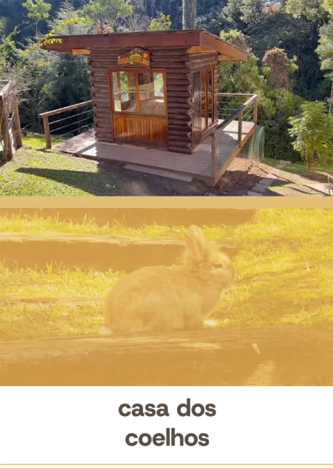 Estrutura