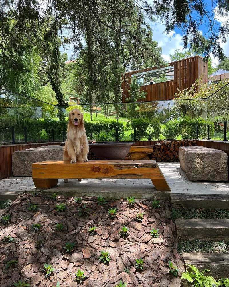 Cão de hóspede na área externa do Hotel Quebra-Noz, em Campos do Jordão