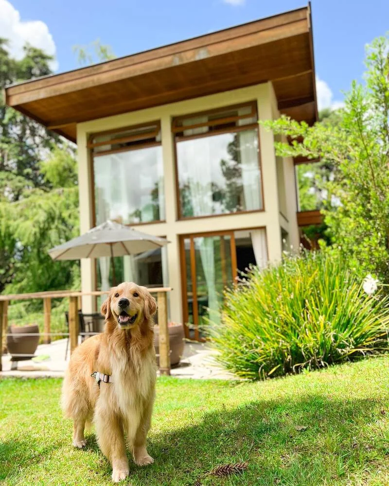 Cão de hóspede no jardim do Hotel Quebra-Noz, em Campos do Jordão