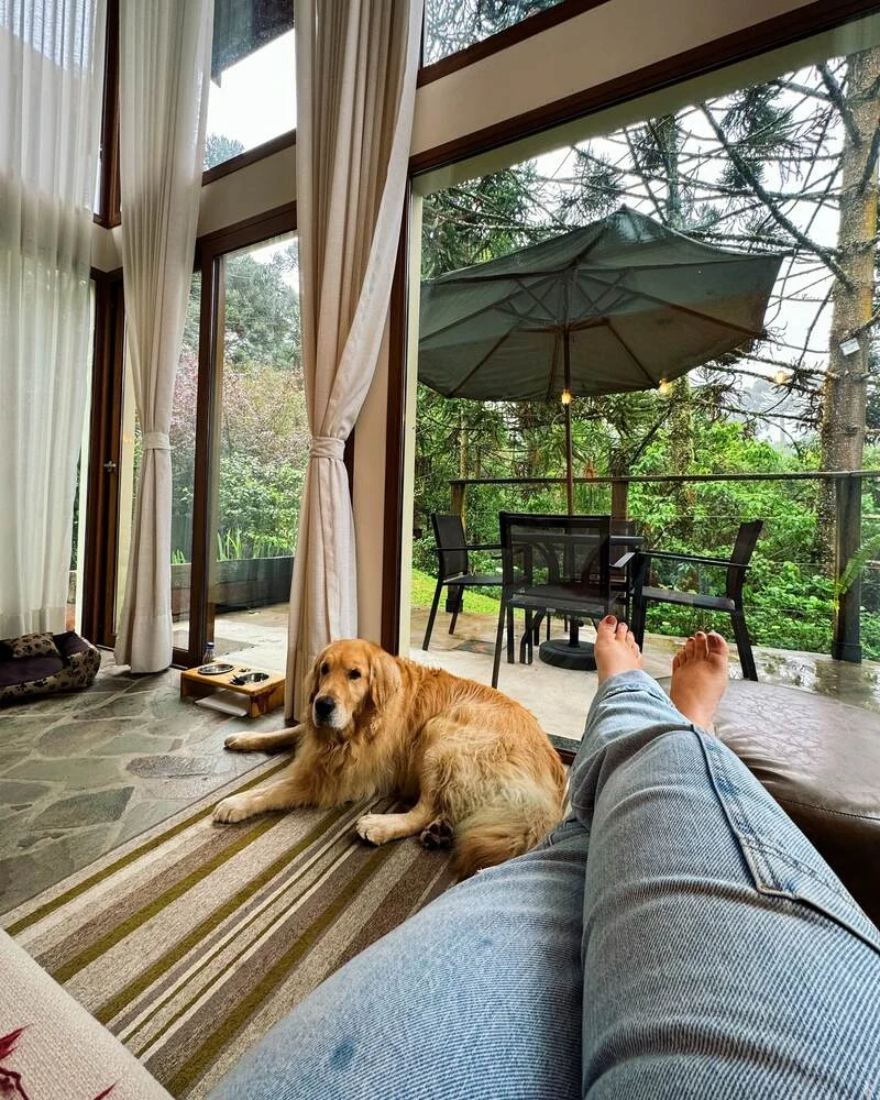 Cão de hóspede relaxando em acomodação pet friendly do Hotel Quebra-Noz, em Campos do Jordão